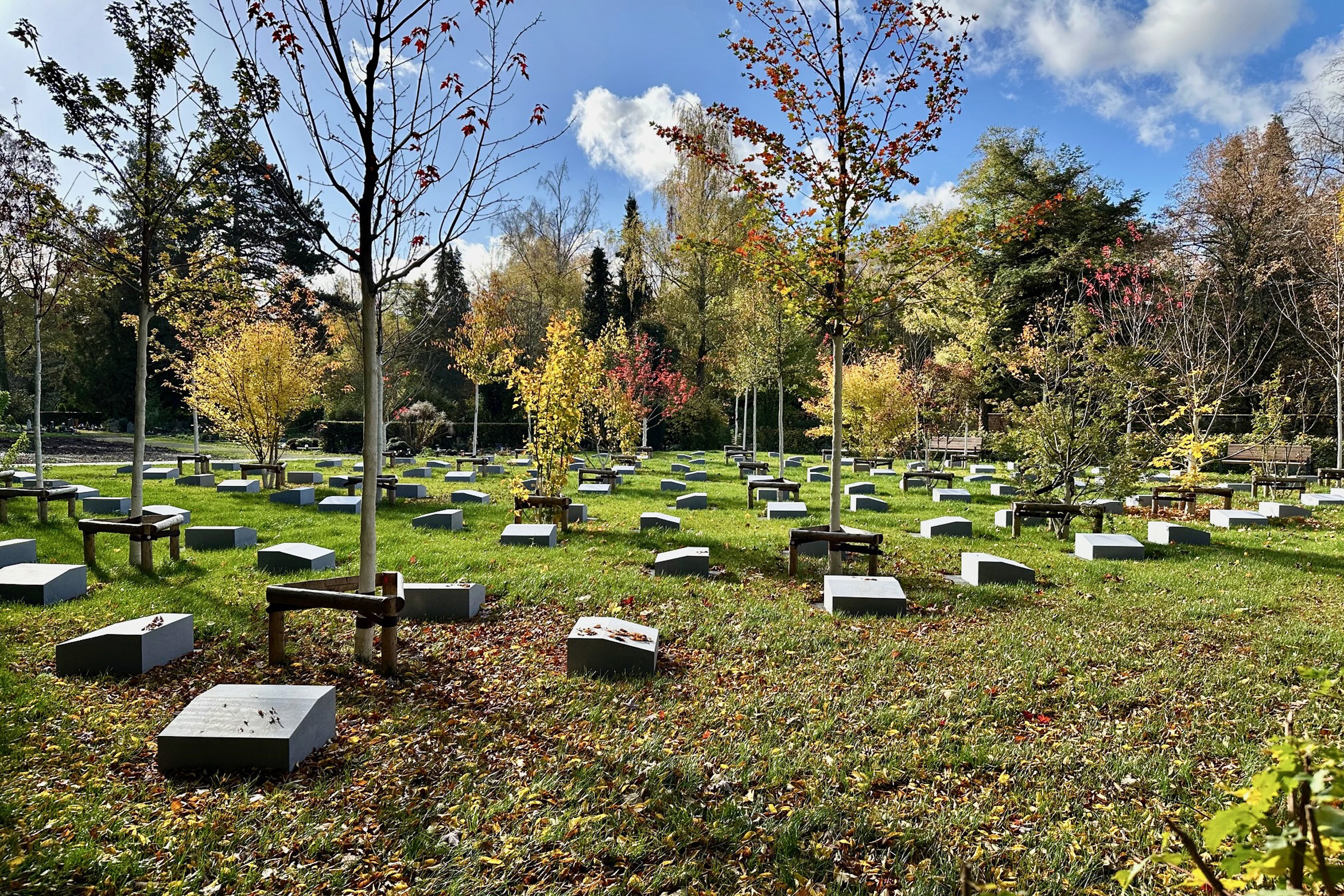 Partnerbaum Hauptfriedhof